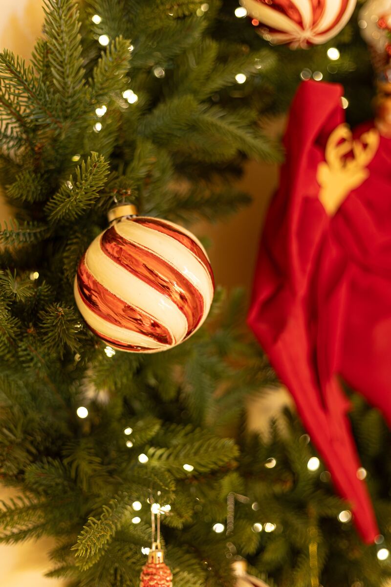 Una pallina a righe bianche e rosse tra i rami dell’albero