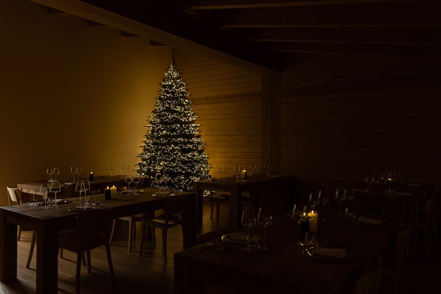 La sala di sera, con l'albero acceso